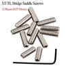 Replacement Screws Sets for  Vintage and Contemporary Models Repair Parts