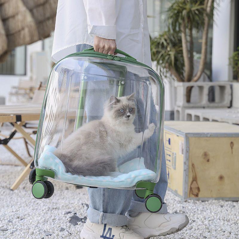 Transparent Pet Travel Suitcase & Stroller - Double-Layer, Airline-Approved for Cats & Dogs.