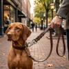 Genuine Cowhide Dog Leather Leash Wide Strap Shepherd Lead  Outdoor Hiking Trip