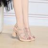 Fashion Fashionable Thick Heel Sandals For Women In Summer Thick Sole Waterproof Platform High Heels Women's Shoes Mesh Soft Sole Wear