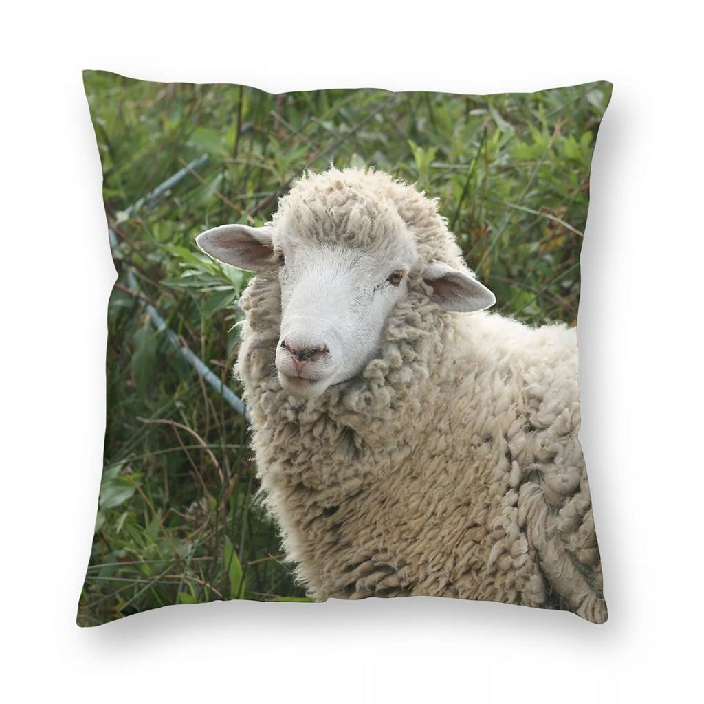 Federa Quadrata con Pecore in un Pascolo Poliestere Lino Velluto Creativo Zip Decorativa Copricuscino per Divano Ingrosso x