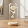 Gold foil rose immortal flower glass cover Valentine's Day gift Christmas Mother's Day creative LED night light