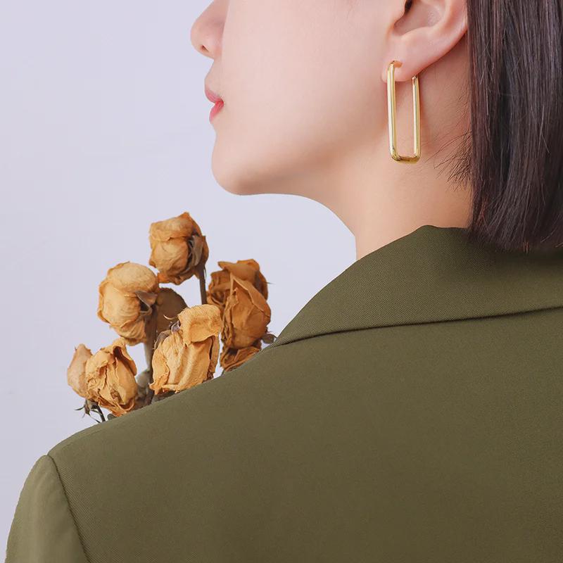 Exquisite Titanium Steel 18K Gold Niche Design Fashion Earrings