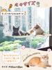 Cat Window Hammock with Strong Suction Large Easy To Cat Window Cat 25kg Weight Breathable Suitable for Both Summer and Stress Window Window Viewing
