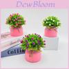 Starry Sky Artificial Flower Pot For Home Office Decor With Plastic Material And Wedding Use