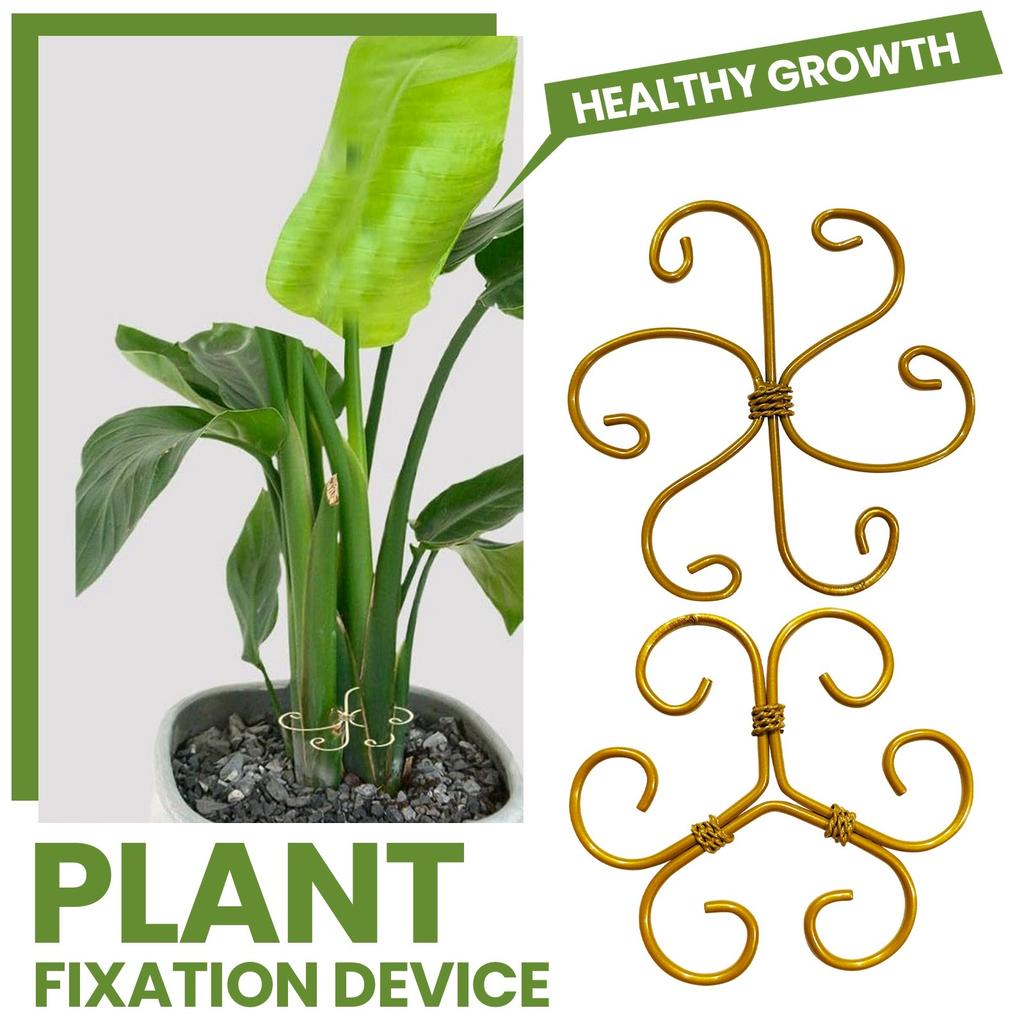 Plant Stem Support, Stabilizer Iron Support, A Unique Plant Accessory Designed For Climbing Plants, Used To Stabilize And Support Leaves