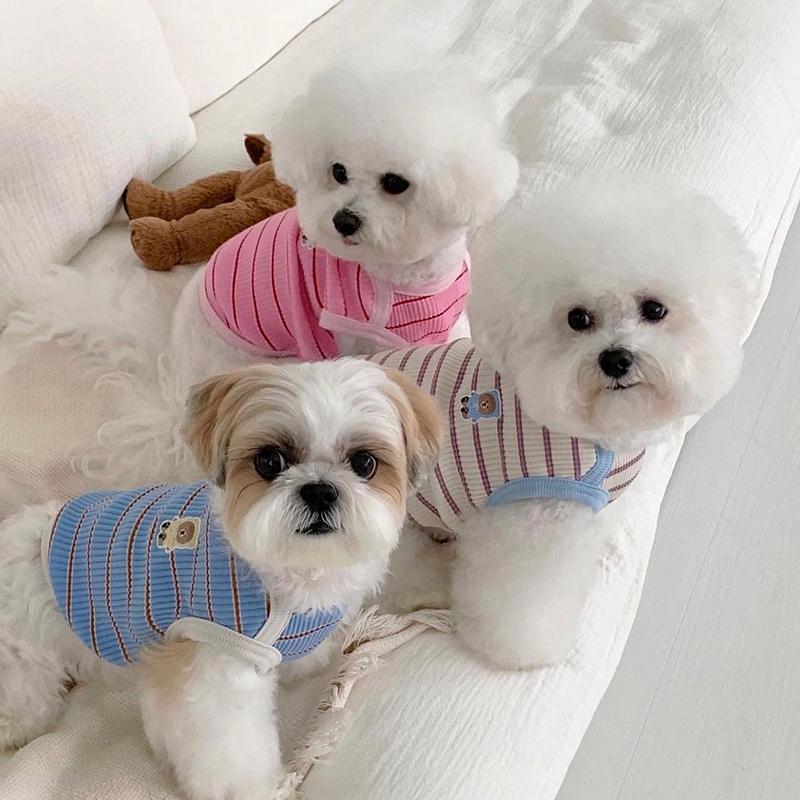 Soft Pet Dog Clothes for Small Dogs Summer Striped Dog Vest Fashion Puppy Pullovers Cute Thin Cat Vest Pet Costumes Dog T-Shirt