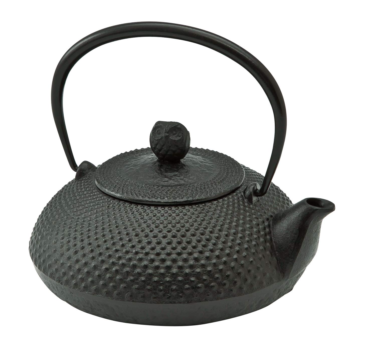 New Ikenaga Iron Works Living with Iron Iron Kettle Hoju Gift Wrapping Available 0.6L