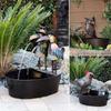 Bird Rooster Owl Fish Water Fountain Decor Resin Craft Garden Home