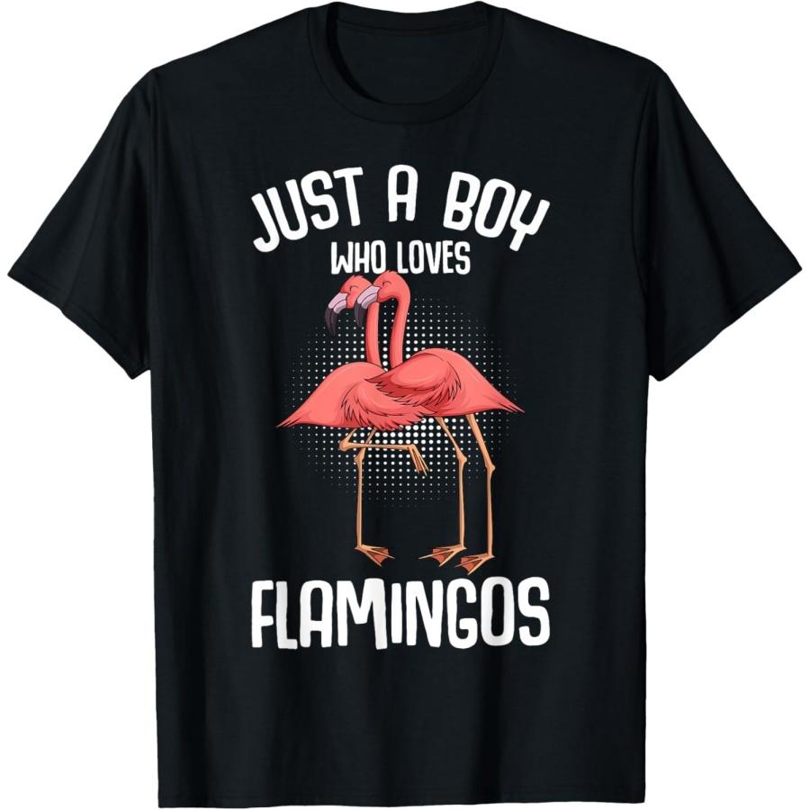 Just A Boy Who Loves Flamingos Boys Kids Flamingo T-Shirt S