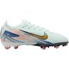 Nike Zoom Mercurial Vapor 16 Pro FG GS Dream Speed 9 Pack Kids Sneakers Green Barely-Green Crimson-Pulse HM4983-300