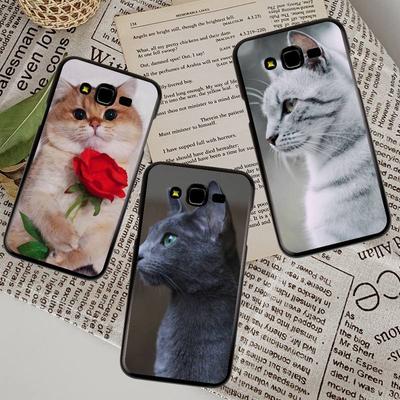Roztomilý kočičí kryt na telefon pro Samsung Galaxy A51 A50 A71 A21s A31 A41 A10 A20 A70 A30 A22 A02s A13 A53 5G Cover Cover