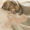 Cat Cushion for Indoor Use, Training Accessory Pets, Washable Design Dogs And Cats,