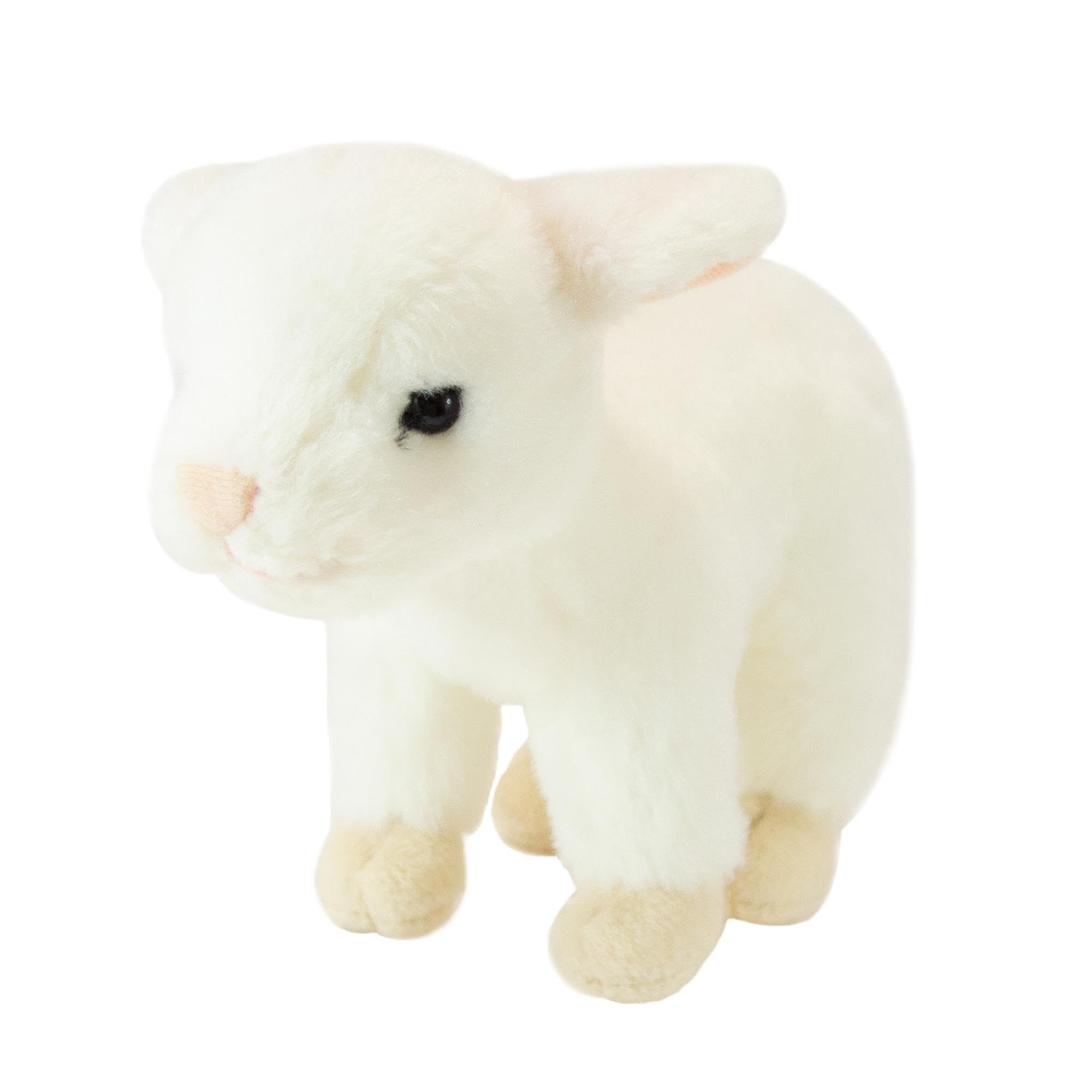 

Land Friends Goat 180451