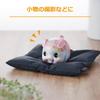 HAKUBA [.co.jp Limited] HAKUBA Multi-cushion Mat for Cameras Camera Zabuton M Black AMZZBMBKNL As a Rug or Cushioning Material for Equipment