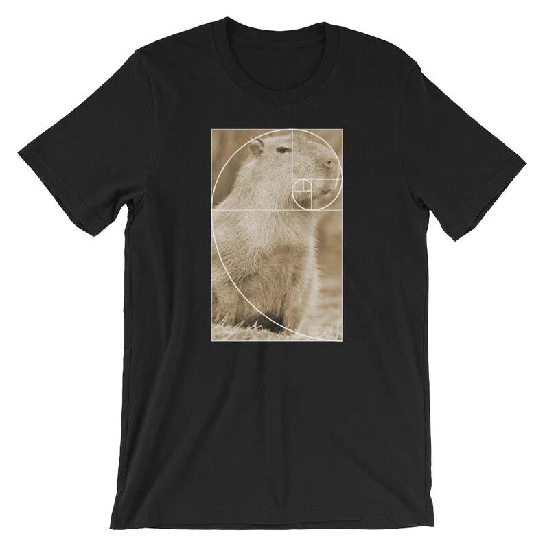 Capybara T Shirt Fibonacci Spiral Golden Ratio Funny Kids Maths TShirt Gift S