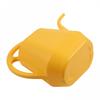 Large Capacity Plastic Garden Watering Can Specifications Design