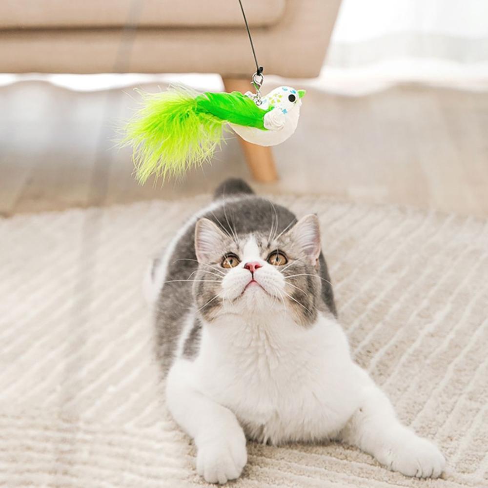 with Suction Cup Kitten Gift Simulation Birds Cat Supplies Cat Teaser Wands Cat Toy Cat Stick Toy