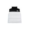 The North Face 1996 Vest Men's White NF0A3JQQ-QLI
