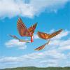 Kits Avion Modèle Avion Jouet Jouet Scientifique DIY Puissance Élastique Fait Main Ornitoptère Oiseaux Jouets