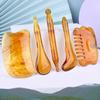 Facial Meridian Lifting Brush & Foot Acupoint Acupressure Pen Gua Sha Massager