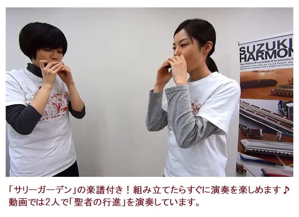 SUZUKI Handmade musical instrument series 10 hole harmonica kit THK-1