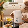 500ml Portable Mini Electric Travel Heating Cup