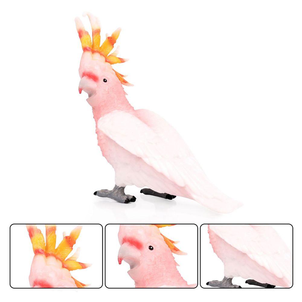 Модель попуга алады