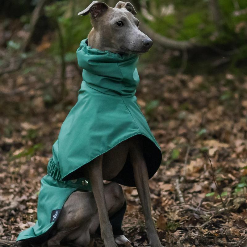 Spring and Autumn Outing Breathable and Comfortable Dobbin Dog Clothes Casual Warm Pet Raincoat Leisure Dog Cloak Raincoat