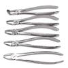 Ensemble d'instruments buccaux, dix pièces, pince d'extraction dentaire en acier inoxydable pour adulte