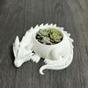 3D Printed Dragon Shaped Plant Pot Creative Animals Flower Pot Succulent Planter  for Yard Garden