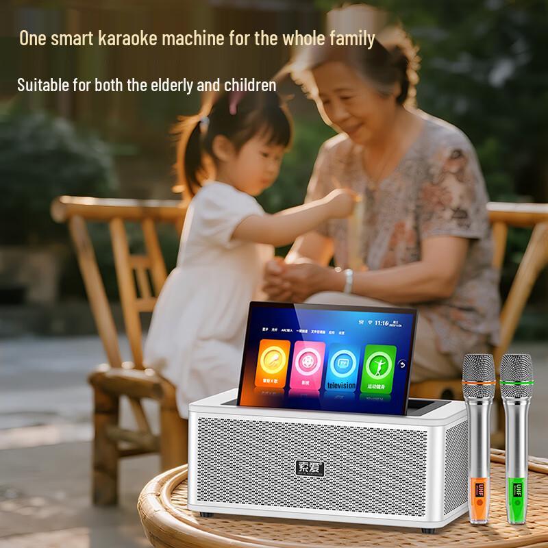 Soaiy SA-K2501 Home KTV Audio System with Microphone CN Plug (adapter Included)