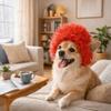 New Funny Pet Wig Exploding Heads Adjustable Dog Wigs Dog Wig Cap Holiday Party Decorations