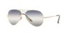 ARISTA 55 Sunglasses RB3689 Ray-Ban