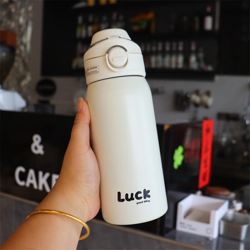 MRSIKEY 316 Stainless Steel Dual-Drink Insulated Straw Cup