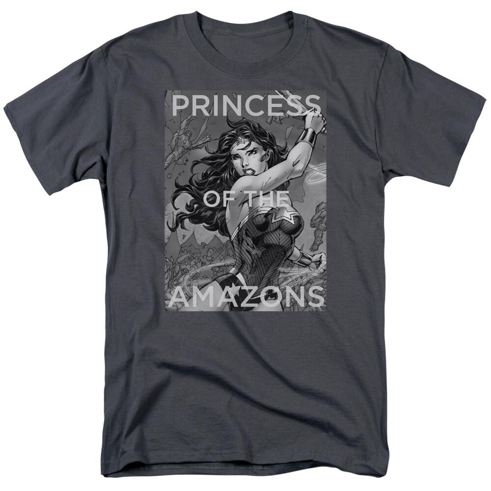 Wonder Woman Princess of the Amazons T-shirt Mens Licensed DC Comic Tee Charcoal XXL
