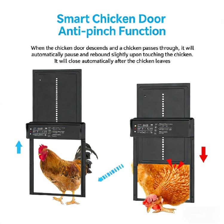 Large LCD Display Automatic Chicken Door with Charging Light sensors Remote Safety Aluminum