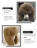 Women's Windproof Faux Fur Plush Winter Hat with Ear Muffs