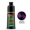 SEVICH 250 ml šampon pro barvení vlasů s arganovým olejem Rychlý styling vlasů Šampon pro barvení vlasů s přírodní šedou bílou barvou vlasů