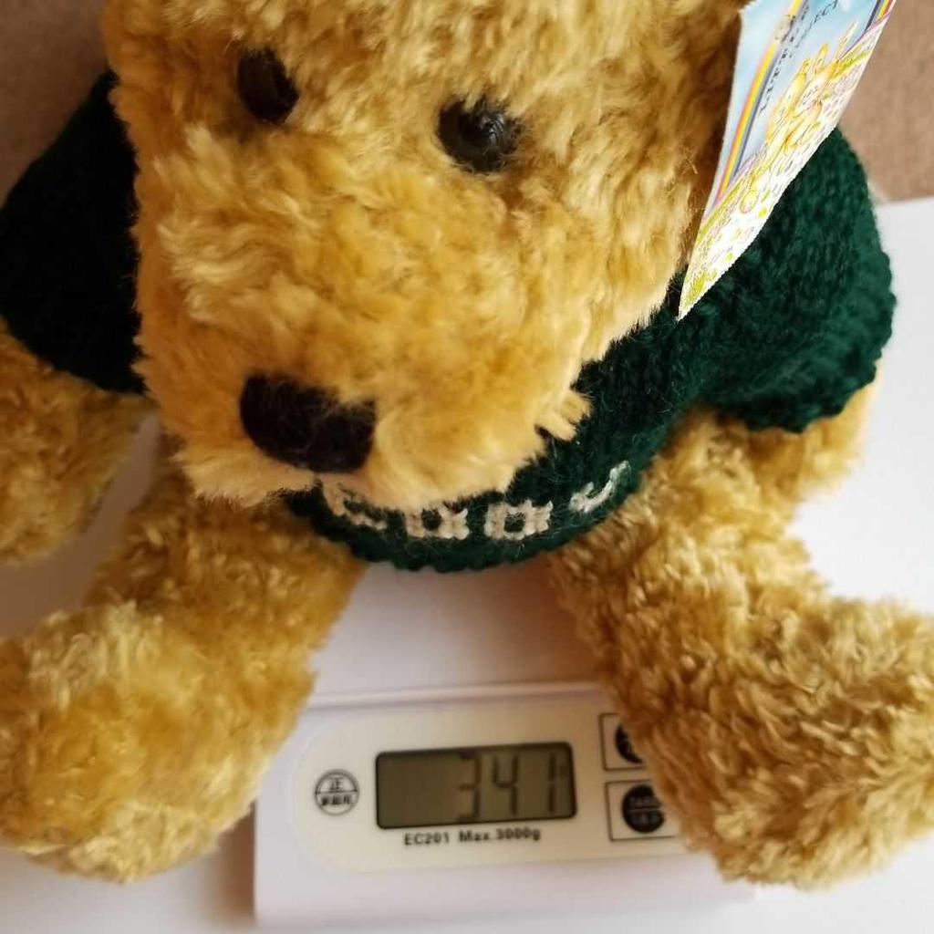 [USED] British Teddy Bear's Brother