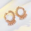 New Natural Zircon Tassel Dangle Earrings For Women Luxury  Rose Gold Color Ethnic Bride Unique Daily Fine Cute Jewelry