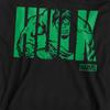 Hulk Unisex Adult Text Sweatshirt
