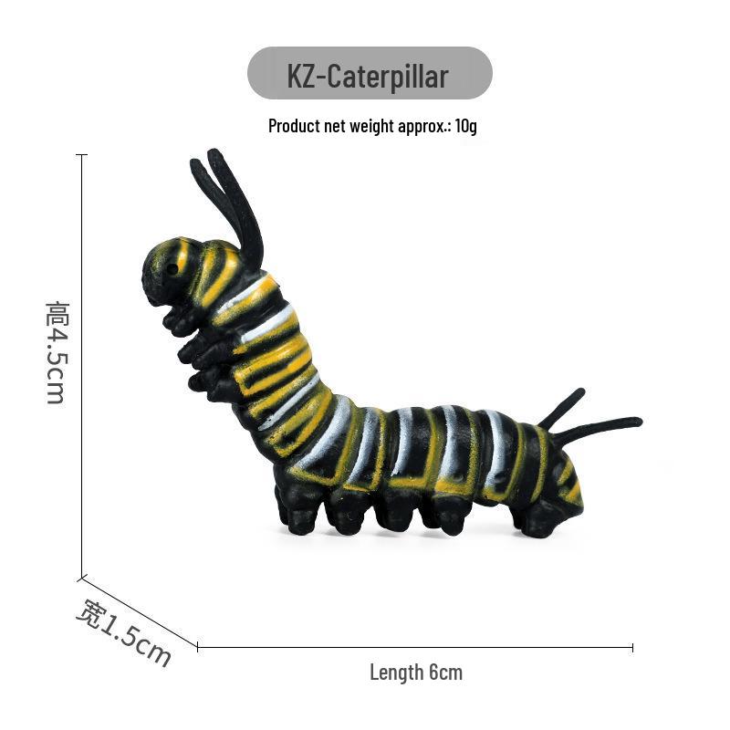 Static Insect Model: Swallowtail Caterpillar and Earthworm Toy