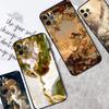 Renaissance Art Paint Shockproof Case For iPhone 17 11 14 15 16 Pro Max Plus 12 13 Mini 16e 17 Air Phone Cover