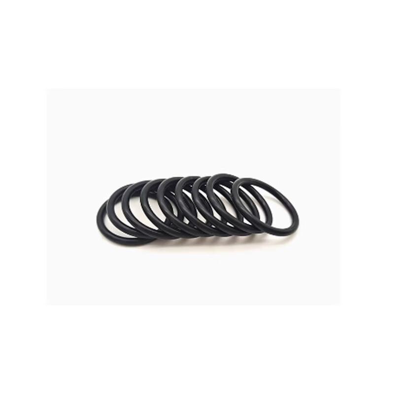 Fluoro Rubber O-Ring