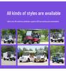Electric Sightseeing and Delivery Van for Hotels and Campuses