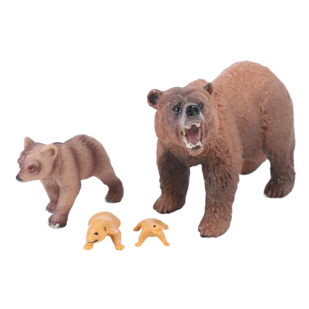 4 Stück Braunbär Wachstumszyklus Statue Realistische Detaillierte PVC Tierfigur für Zuhause Büro Party