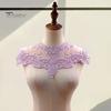 Lace Embroidered Fake Collar Hollow See-through Lace Flower Pattern False Collar Lace Embellished Clothing Accessory