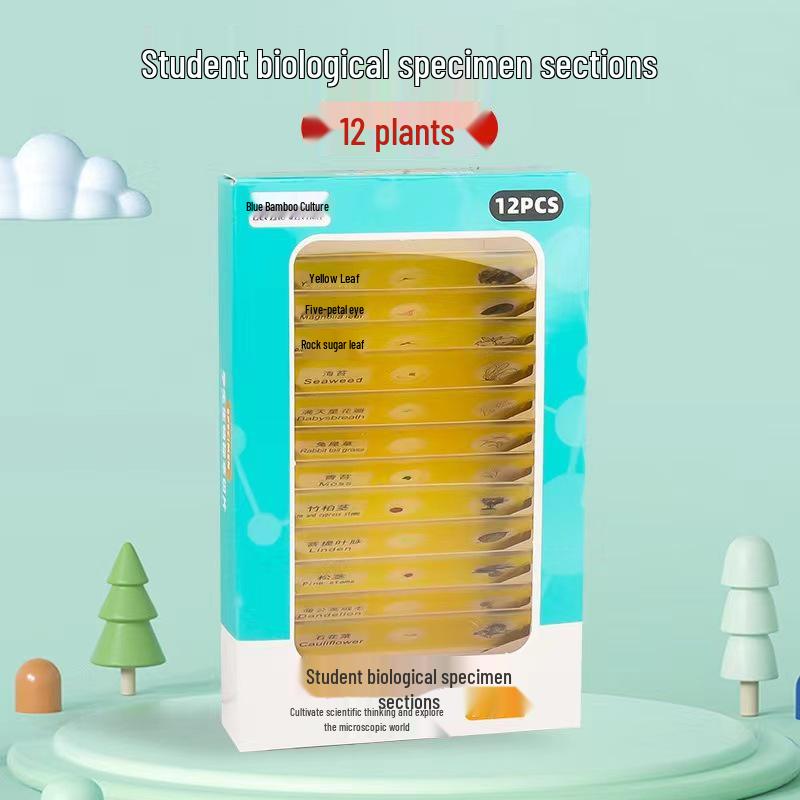 Tragbares Outdoor-Mikroskop-Set für junge Wissenschaftler: Lehrreiche praktische Experimente für Grund- und Sekundarschüler