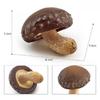 Shiitake-Pilz Maki Pilz Rutschiger Pilz Matsutake Giftiges Seil Schirm Zwillingspilz Desktop-Dekoration Modell Spielzeug